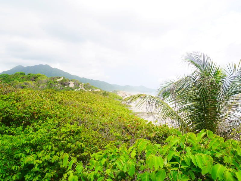 ITK VOYAGE - Tayrona plage